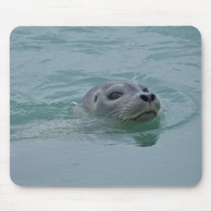 Seehund schwimmt im glazialen See Jokulsarlon Mousepad