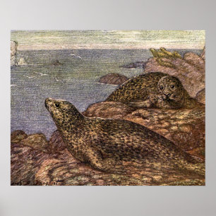 Seehunde, marine Vintage-Lebewesen Ozean-Tiere Poster
