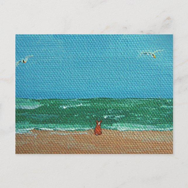 Seehundkarten Postkarte (Vorderseite)