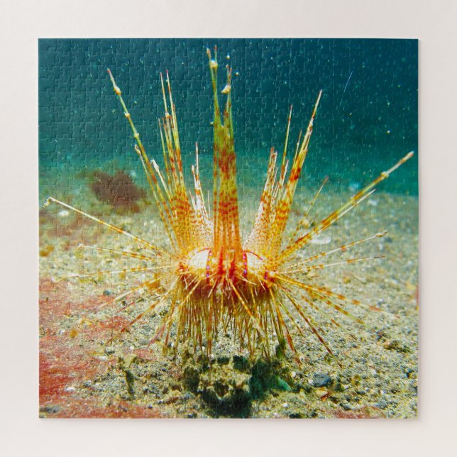 Seeigel (Vertikal)