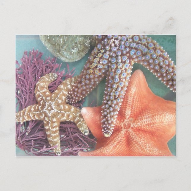 SEEING STARS POSTKARTE (Vorderseite)