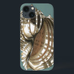 Seejuwel title_seo2<br><div class="desc">Eines der schönsten Juwelen des Ozeans ist dieses Bild. Diese große Muschelschelle des Conch befindet sich in diesem gerahmten Kunstwerk der Moderne: Dieses große Muschelbild des Conchs hat einen aquamarinen Hintergrund und eine  Muschel mit Sepia und Weiß. Entspannen Sie sich mit diesem großartigen Stück Naturkunst.</div>