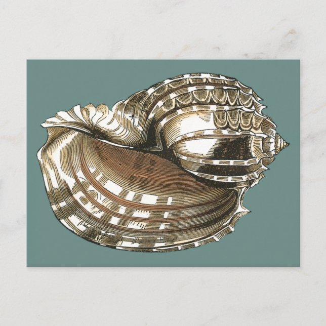 Seejuwel Postkarte (Vorderseite)