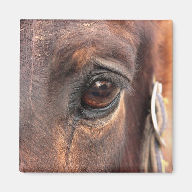 Seelenauge Magnet (Vorne)