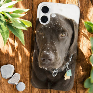 Seelenvolle Schokoladen-Labrador mit Schnee bestre title_seo2
