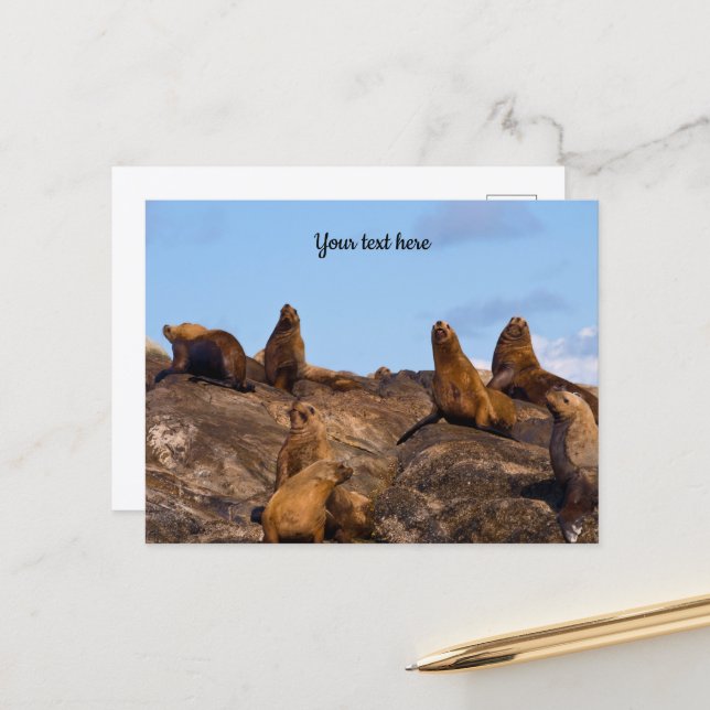 Seelion-Postkarte Postkarte (Vorderseite/Rückseite Beispiel)