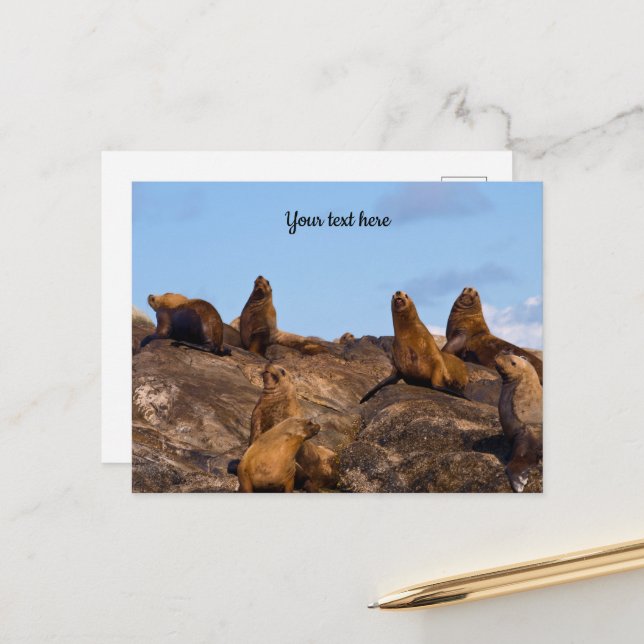 Seelion-Postkarte Postkarte (Vorderseite/Rückseite Beispiel)