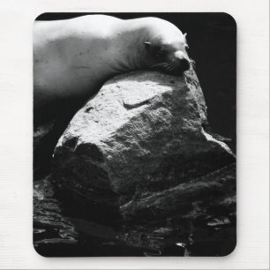 Seelöwe .1781 mousepad