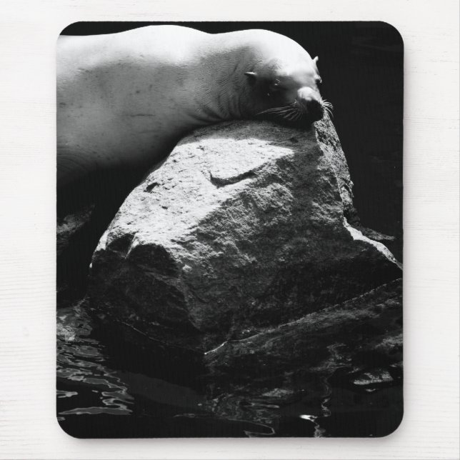 Seelöwe .1781 mousepad (Vorne)