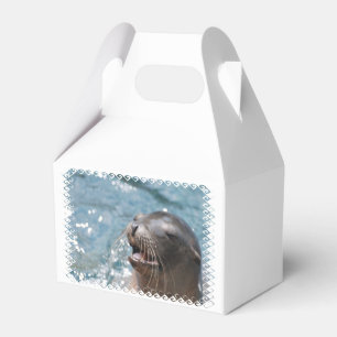 Seelöwe Geschenkschachtel