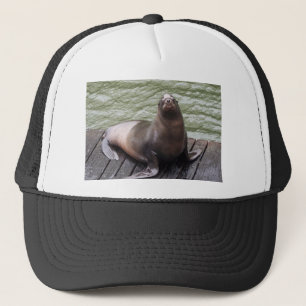 Seelöwe-Hut Truckerkappe