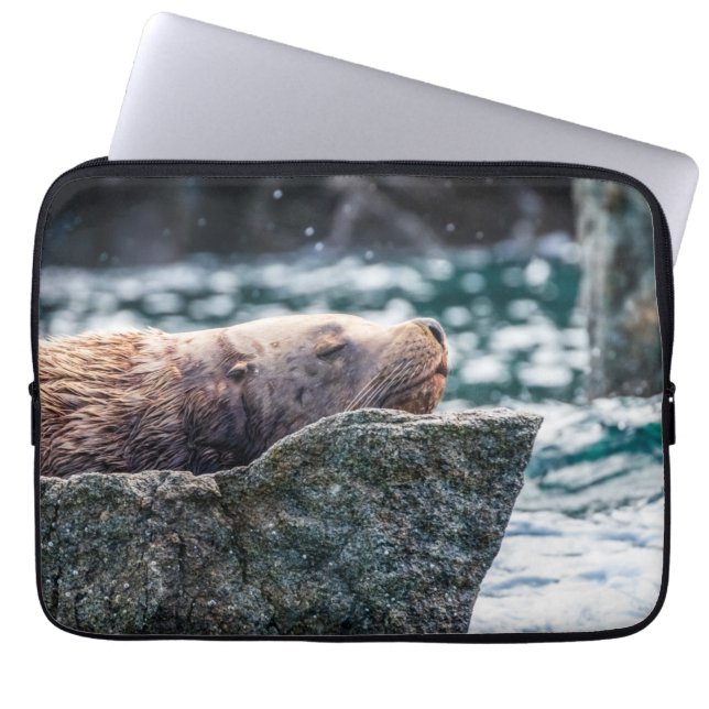 Seelöwe in der Auferstehungsbucht, Alaska Laptopschutzhülle (Vorderseite)