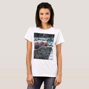 Seelöwe in der Auferstehungsbucht, Alaska T-Shirt