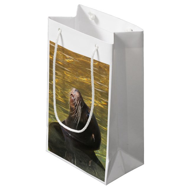 Seelöwe Kleine Geschenktüte (Vorderseite Schrägansicht)