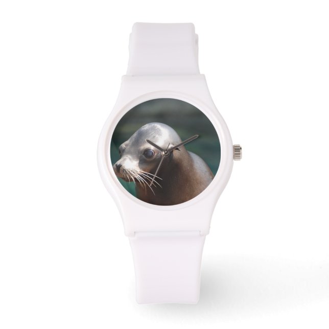 Seelöwe mit Niedlichem Gesicht Armbanduhr (Vorderseite)