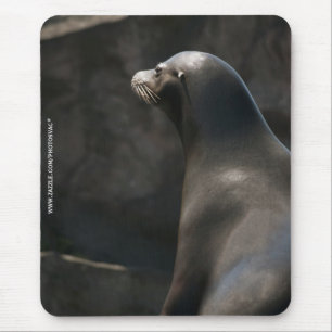 Seelöwe Mousepad