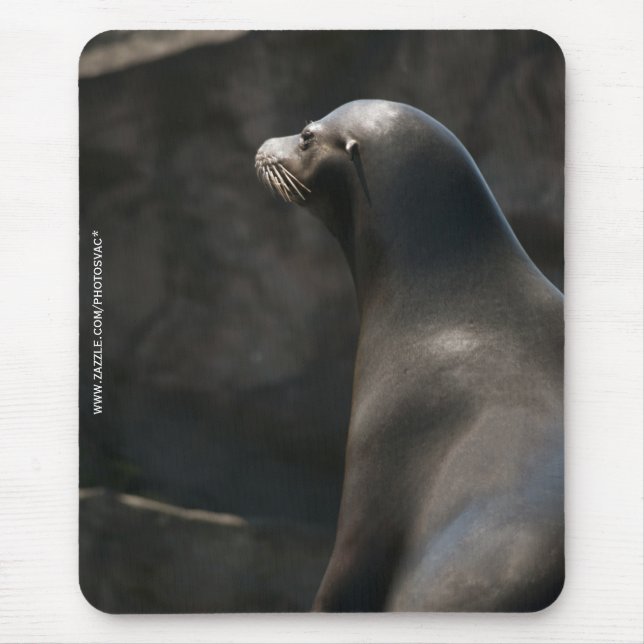 Seelöwe Mousepad (Vorne)