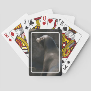 Seelöwe Spielkarten