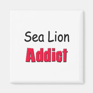 Seelöwe-Süchtiger Magnet