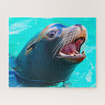 Seelöwen