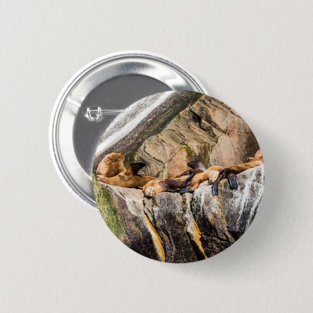 Seelöwen auf den Felsen Button (Vorne & Hinten)