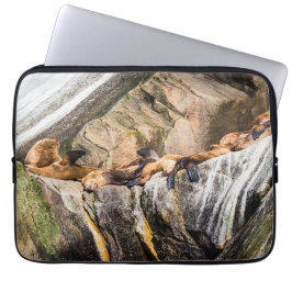 Seelöwen auf den Felsen Laptopschutzhülle