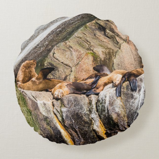 Seelöwen auf den Felsen Rundes Kissen (Rückseite)