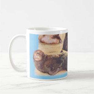 Seelöwen bei der Tasse am Arbeitsplatz