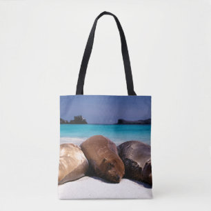 Seelöwen, die auf Strand Ecuador schlafen Tasche