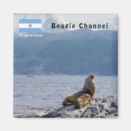 Seelöwen im Beagle - Argentinien Magnet