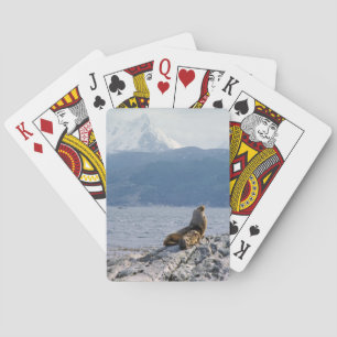Seelöwen im Beagle - Argentinien Spielkarten