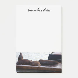 Seelöwen nach der Verabschiedung Post-it Klebezettel