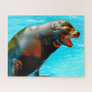 Seelöwen Puzzle