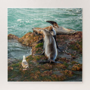 Seelöwen-Puzzle Küstenwildlife-Ozeankunst