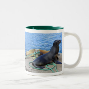 Seelöwen Zweifarbige Tasse