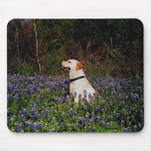 Seemann im Bluebonnets mousepad (Vorne)