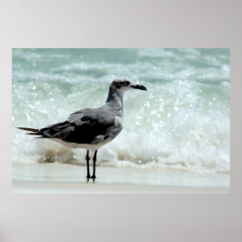 Seemannsplakat Poster