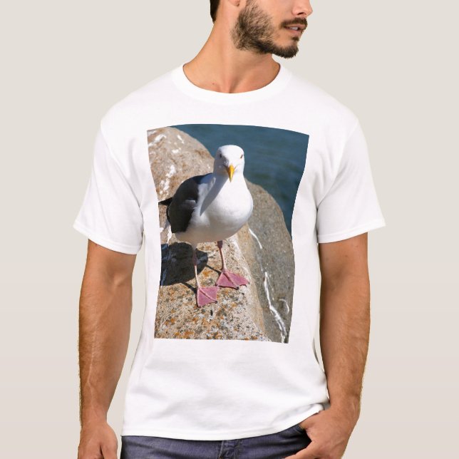 Seemöve, Morro Bucht, Kalifornien T-Shirt (Vorderseite)