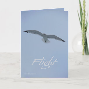 Seemöven-Flug Karte
