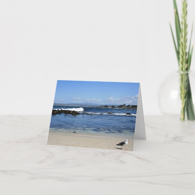 Seemöwe auf Strand, leere Anmerkungs-Karte Karte (Vorderseite)