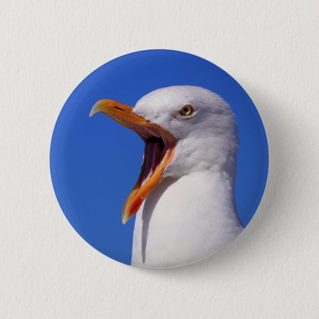 Seemöwe Button (Vorderseite)