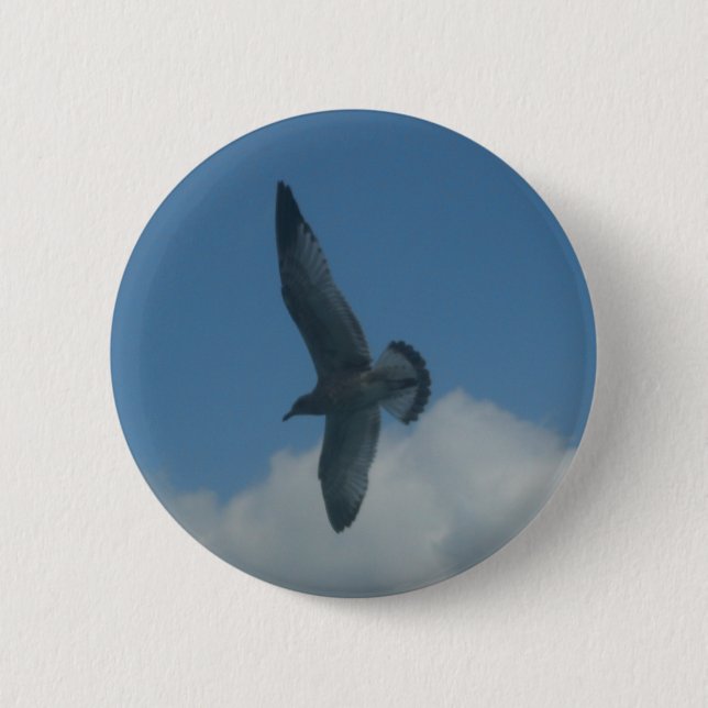 Seemöwe Button (Vorderseite)
