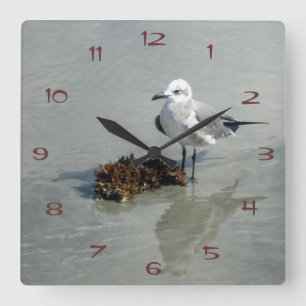 Seemöwe mit Meerespflanze Quadratische Wanduhr