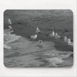 Seemöwe Mousepad