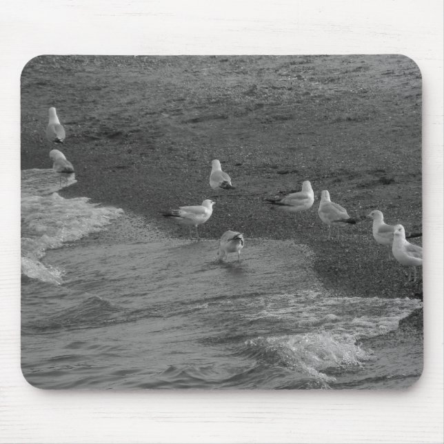 Seemöwe Mousepad (Vorne)