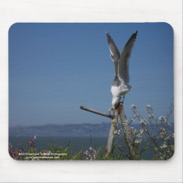 Seemöwe Mousepad