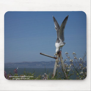 Seemöwe Mousepad