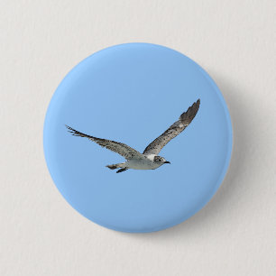 Seemöwe-Vogel Button
