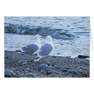 Seemöwen, die auf dem Strand-Foto küssen