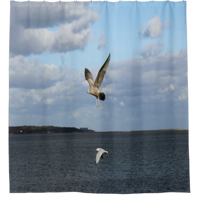 Seemöwen im Flug Duschvorhang (Vorderseite)